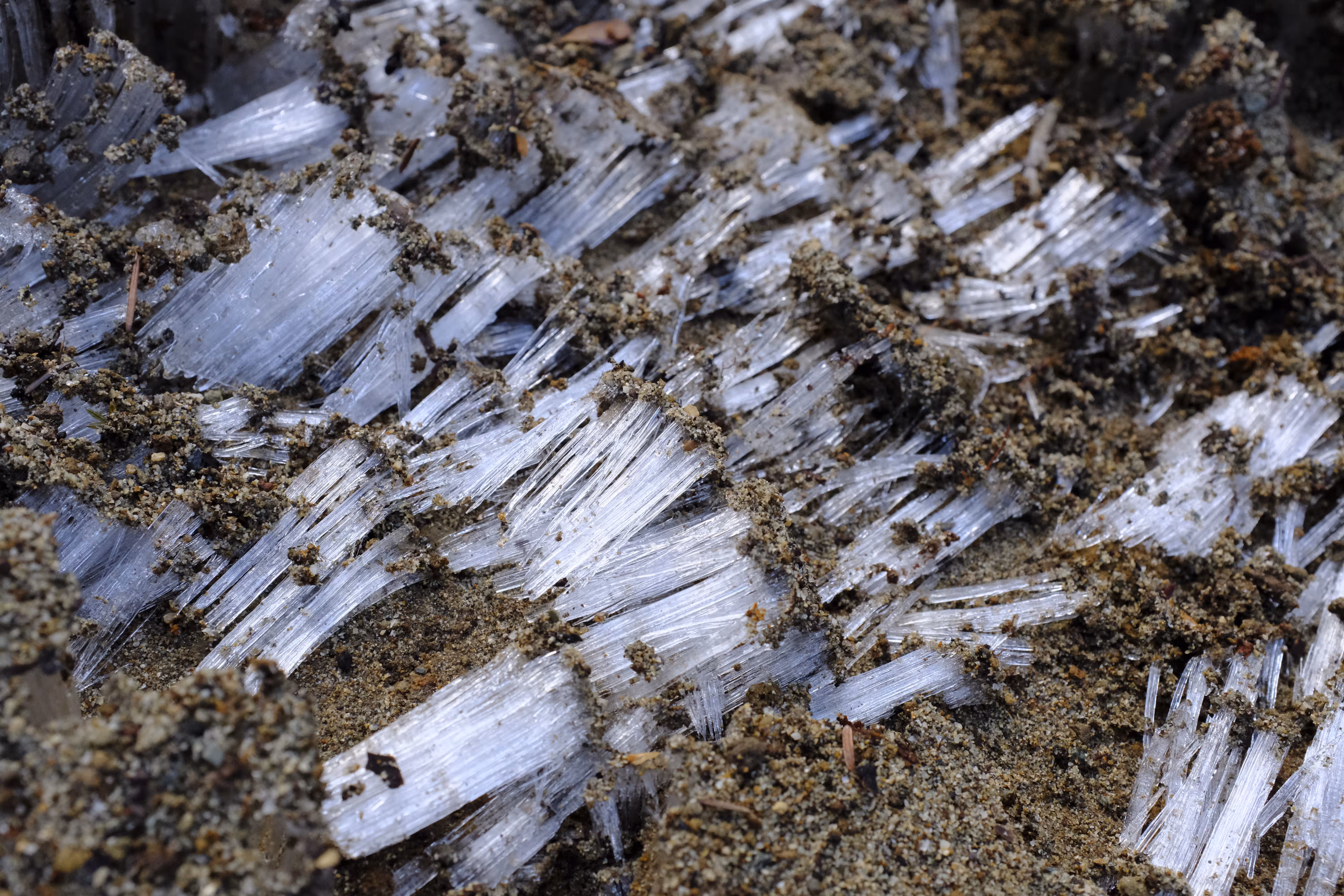 /img/posts/2025/unique-ice-formation.avif